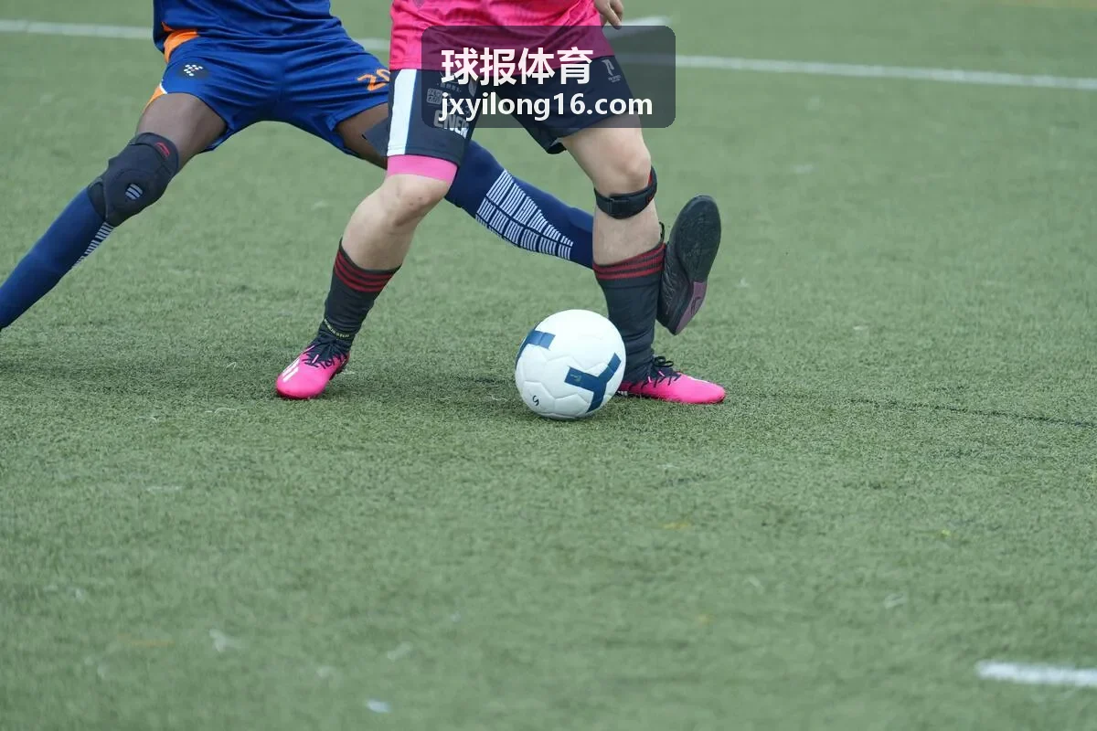 球报体育实时数据界面